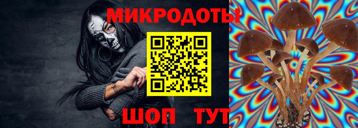Псилоцибиновые грибы мицелий Калининград