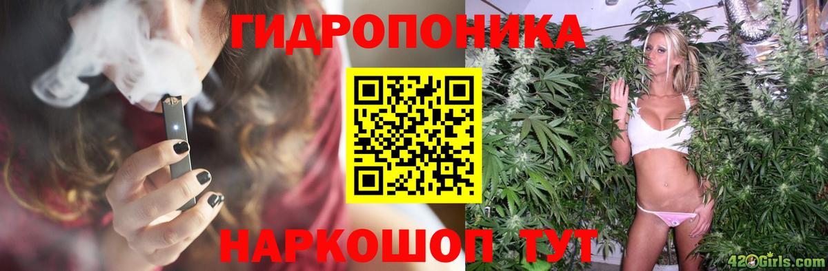 A-PVP Калининград